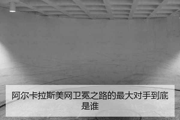 a-er-ka-la-si-mei-wang-wei-mian-zhi-lu-de-zui-da-dui-shou-dao-di-shi-shui-2-302.jpg