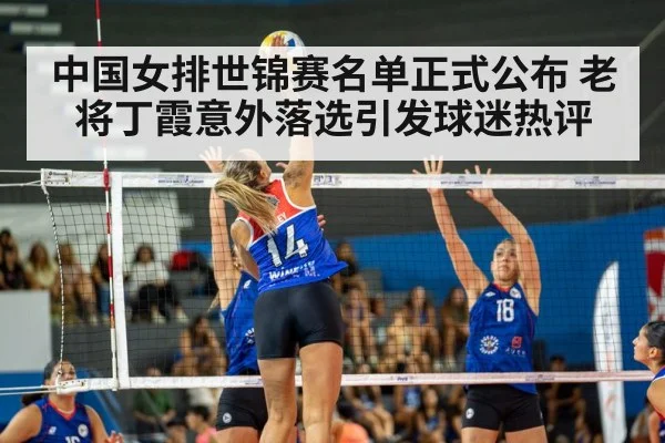 volleyball match